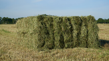 Closeup of a single large square bale of hay on the field © Veltman34
