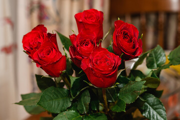 red roses with water droplets