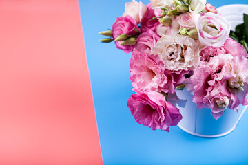Flowers on a pink and blue background.