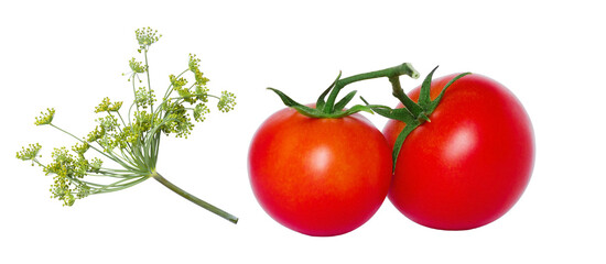 two red tomatoes and dill on a white background, isolate