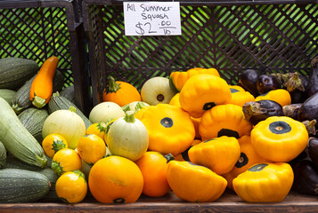 Variety of fresh picked summer squash at a local market