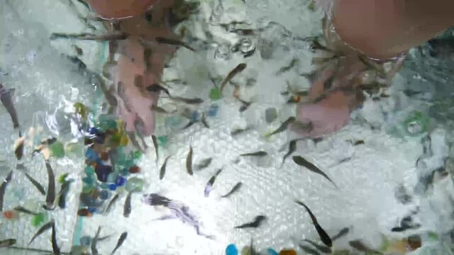 Top view on male feet in water with fish. Fish pedicure by garra rufa. Foot care with natural peeling and massage. Skin care spa procedure. 4 k video