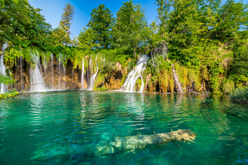 Beautiful waterfalls and lakes at Plitvice national nature park, Croatia. Fresh water stream in peaceful nature. Harmony and meditation, concept of peace and meditation in nature.