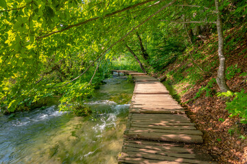 Wooden tourist path at forest, Plitvice national park, Croatia. Fresh and beautiful nature, soft light.