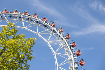 木の葉と遊園地のアミューズメント