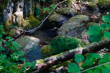 Piccolo ruscello lungo il percorso 274 nelle Marche in estate 