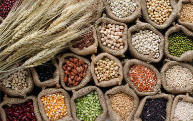 Bundle of dry organic wheat ear on variety kinds of natural cereal and grain seed in sack bag in dark tone. For concept of healthy or diet food ingredient or agricultural product