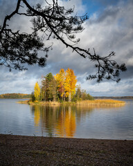 View of the lake shore in autumn