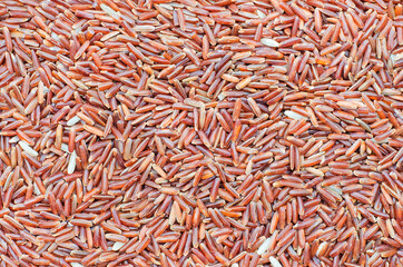 Dry organic brown rice seeds background ready for clean or healthy food ingredient. Concept of agricultural product or food raw material