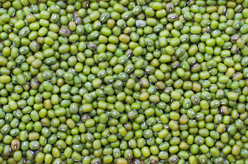 Dry organic green mung bean background after harvested from the farm, ready for  healthy food ingredient. Concept of agricultural product or carbohydrate food type