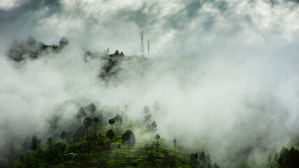 Landscape with mountains and fog