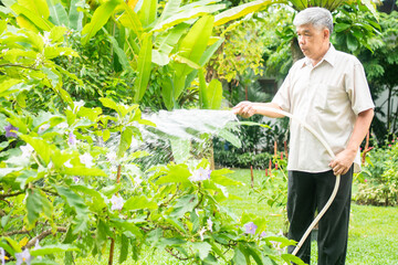 A happy and smiling Asian old elderly man is watering plants and flowers for a hobby after...