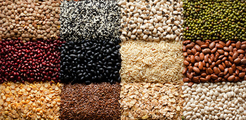 Group of dry organic cereal and grain seed in square pattern consisted of lentils, sesame, blackeye pea, red and black bean, rice, flax seed, mung bean, and pinto, in dark tone