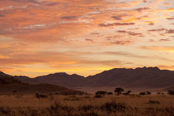 Landschaft an der Hauptstraße C19, Sonnenaufgang, Namibia