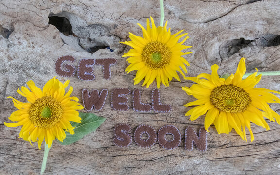 sunflower on the wooden with GET WELL SOON words