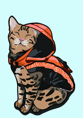 cat with background ()
by cat say meow