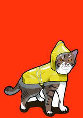 cat with background ()
by cat say meow