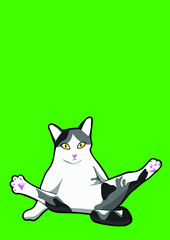 cat with background ()
by cat say meow