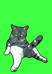 cat with background ()
by cat say meow