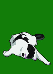 cat with background ()
by cat say meow