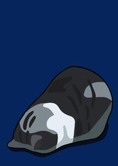 cat with background ()
by cat say meow