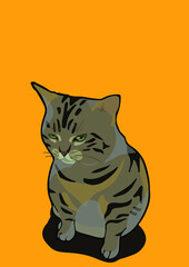 cat with background ()
by cat say meow