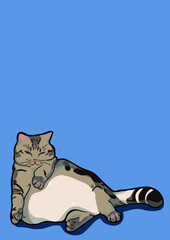 cat with background ()
by cat say meow