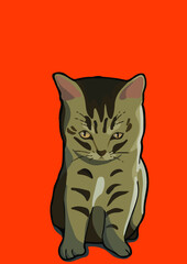 cat with background ()
by cat say meow