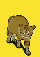 cat with background ()
by cat say meow