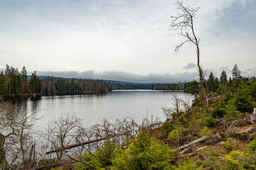 Oderteich, Nationalpark Harz, Deutschland