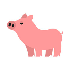 Piglet isolated. Pink Pig. Farm animal vector illustration
