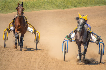 Two Horses Compete in Harness Racing on a Summer Day
