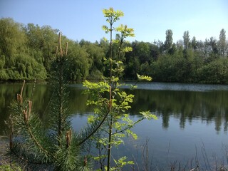 Morning stroll around the lake