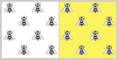Sketch of a bee. Seamless pattern. Honey design. Vector illustration