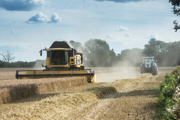 Fototapeta premium combine harvester working in the fields