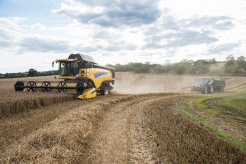 combine harvester working in the fields