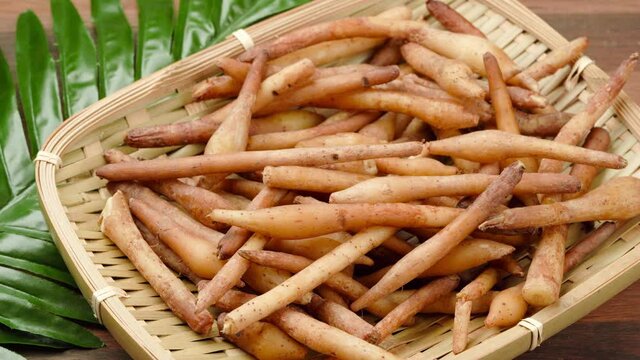 Fresh Finger root or Kaempfer (kachai) Thai herb on wooden table background. 4k footage. slide and pan                                       