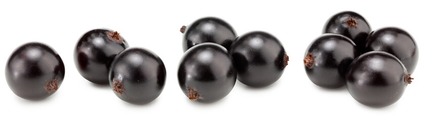 black currant isolated on white background. macro. clipping path
