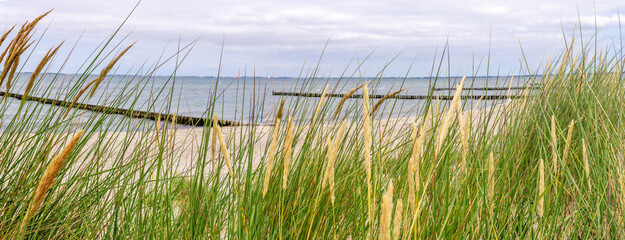 Dünen Panorama Strand Ostsee