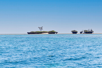 Wasini Island and Kisite-Mpunguti Marine National Park, Kenta, Africa