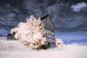 infrared photography - surreal ir photo of landscape with trees under cloudy sky - the art of our...