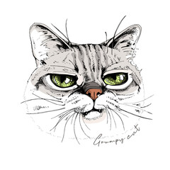Portrait of the funny Grumpy cat. Humor card, t-shirt composition, meme, hand drawn style print. Vector illustration.