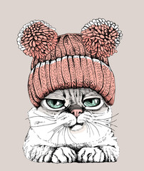 Portrait of the funny cat in the knitted hat with pom pom. Humor card, t-shirt composition, meme, hand drawn style print. Vector illustration.