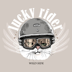 Cat in a retro bikers helmet, glasses and with a wings. Creative poster, t-shirt composition, hand drawn style print. Vector illustration.