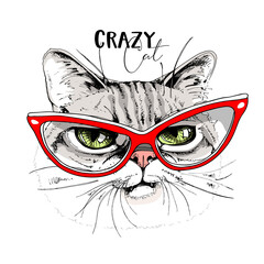 Portrait of the funny crazy cat in the red glasses. Humor card, t-shirt composition, meme, hand drawn style print. Vector illustration.