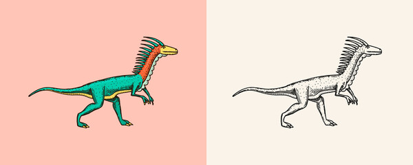 Dinosaurs deinonychus, skeletons, fossils. Prehistoric reptiles. Engraved vintage Hand drawn sketch for t-shirt print or poster. © artbalitskiy