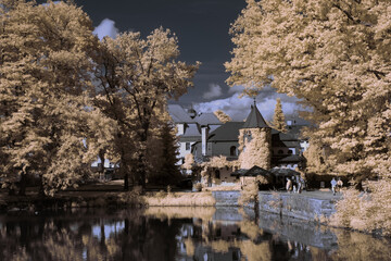 infrared photography - surreal ir photo of landscape with trees under cloudy sky - the art of our...