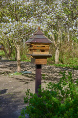 A Japanese-style bird feeder in a spring park against the background of flowering trees.