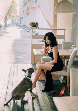 Beautiful charming woman sitting on summer terrace street restaurant with friend bull terrier dog. Girl in black long vintage elegant dress. Naked sexy legs. Red shoes. Backdrop cityscape