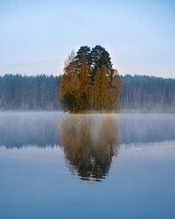 Autumn foggy morning on a lake. High quality photo